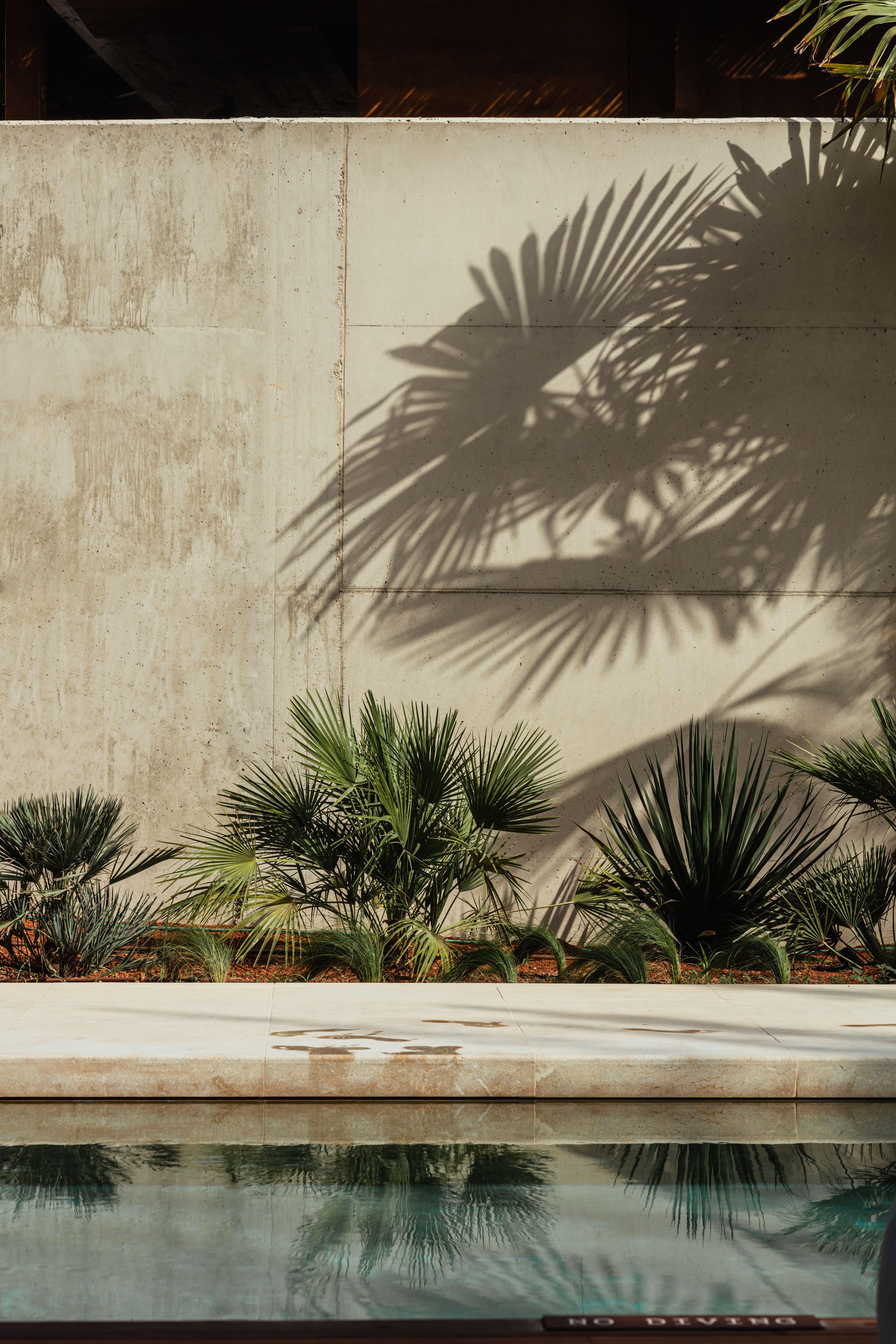 Hotel Oku Ibiza (Adults Only) Sant Antoni de Portmany Esterno foto Palm shadow